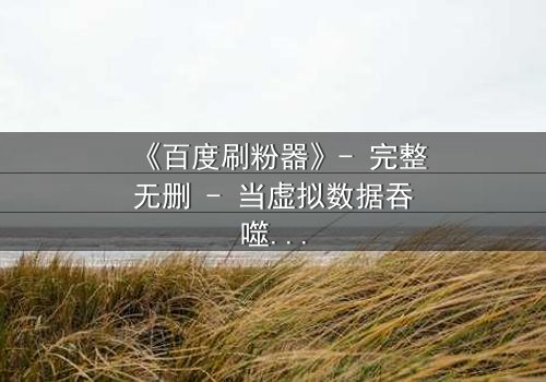 《百度刷粉器》- 完整无删 - 当虚拟数据吞噬真实人生